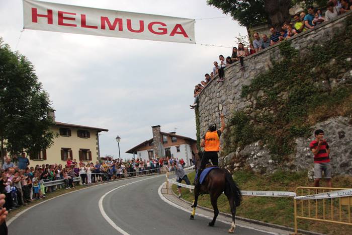 Zaldi gainean lasterka Abalt 16 1498413110509