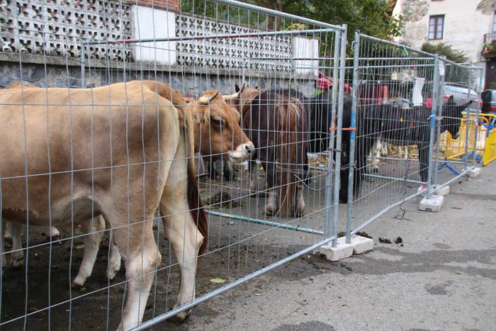 Bertako produktuak nagusi 33 1477233325564