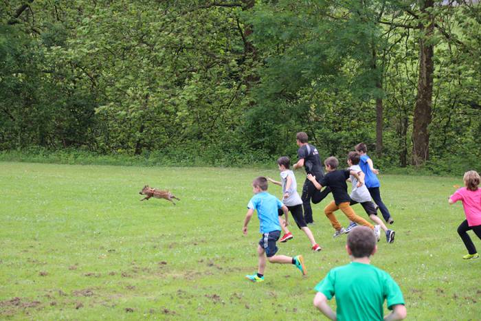 Eskola txiki eguna Ikaztegieta 62 1465750689023