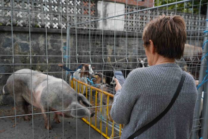 Txerri hiltzearen bueltan eg 6 1760883704025