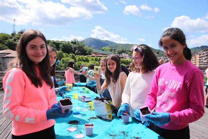 Tolosako Babarruna erein da 18 1559904707936