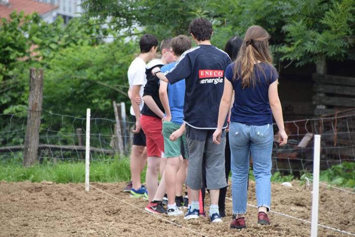 Ibarrako piperrak landatzen, 20 1527075717465