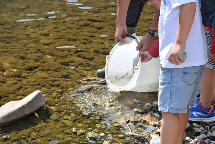 Izokinkumeak, Orian 11 1500724744349