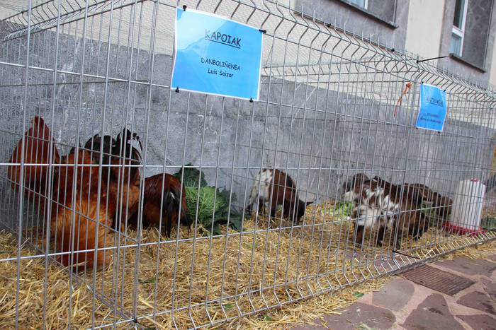 Berastegiko gaztarik onena A 13 1608397902951