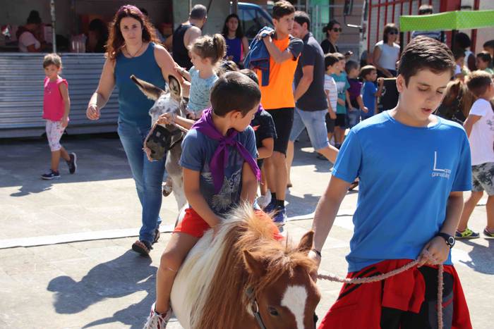 Festak hasteko, poniak eta z 9 1566993969819