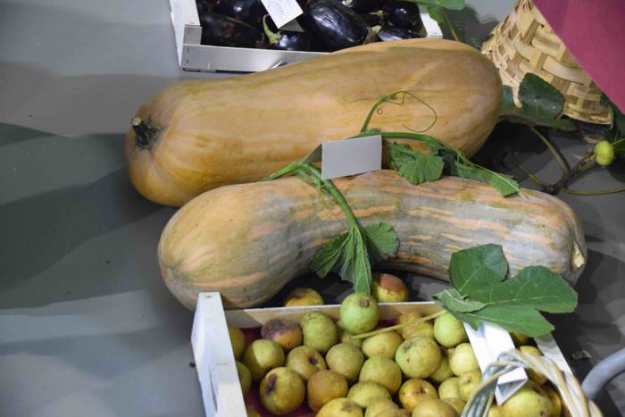 Jendetza mugitzen duen eguna 38 1538313471341