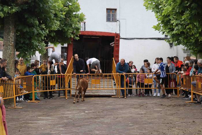 Zezen txikien aurretik 13 1656263616440