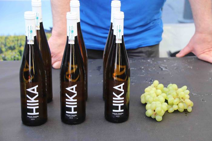 III. Gure Ardo Txuri azoka 11 1555156706074