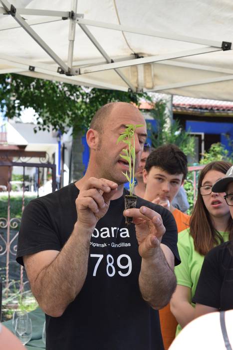 Piper landaketa Ibarran, 201 22 1494844388798