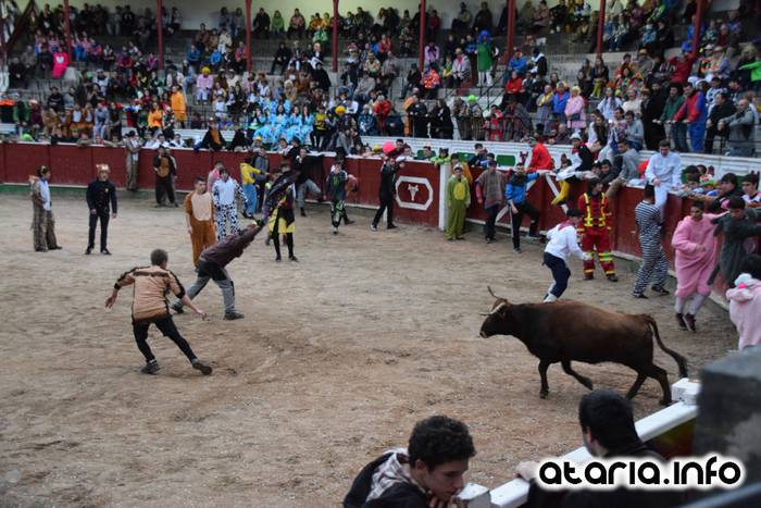 Pattar zezena 2016 4 1455012381828