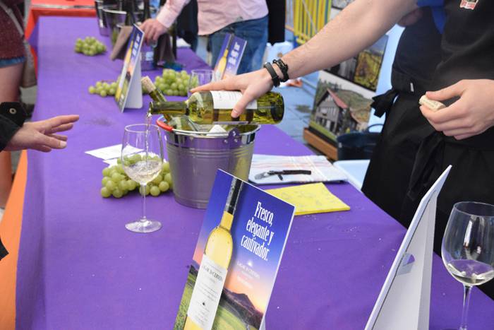 Gure Txokoa elkartearen ardo 15 1491650527223