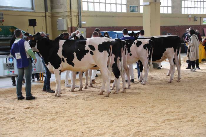 XII. Euskal Herriko Frisoi T 10 1637418666538