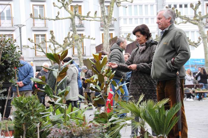 Erein eta zaintzearen magiak 28 1581165945594