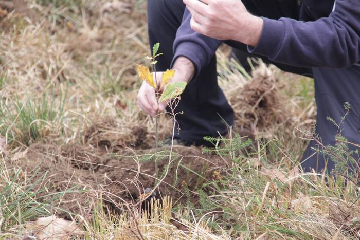 Eskola txikiak eta ner group 49 1447508279734