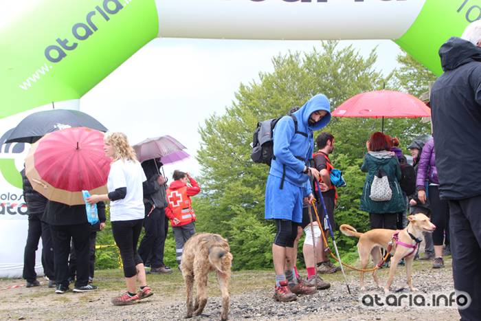 San Migeleko ataria, XIV Orduak 605 1464544519972