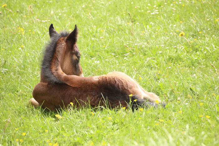 Larre irekiera ekitaldi bere 33 1588336792769