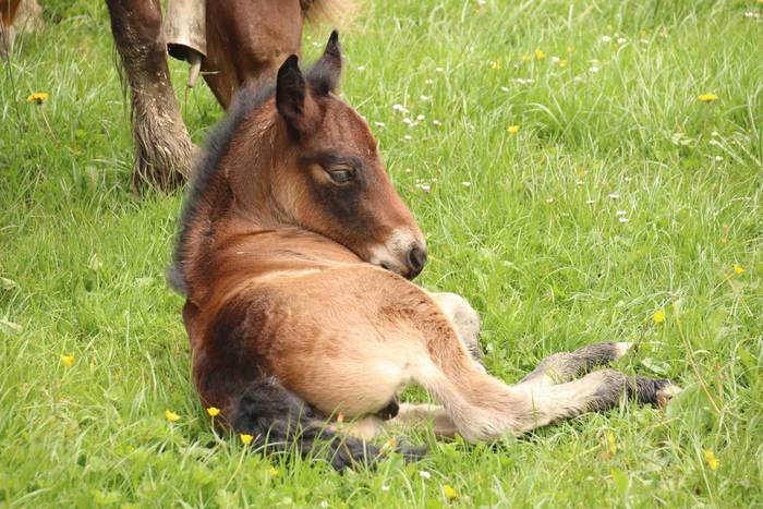 Larre irekiera ekitaldi bere 32 1588336792039