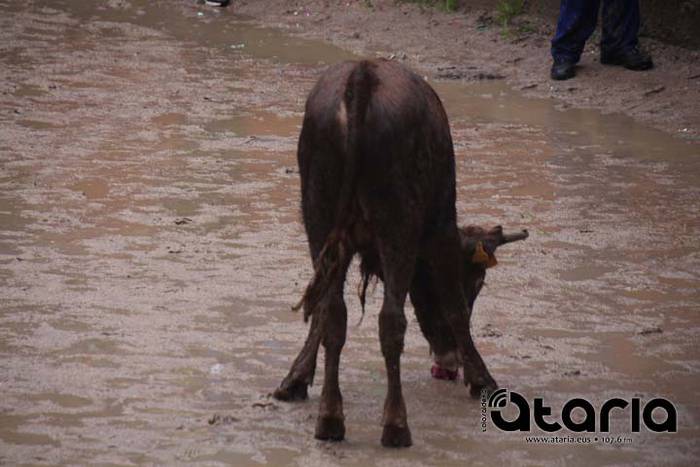 Eguraldi txarrak ez ditu ina 29 1518199215307