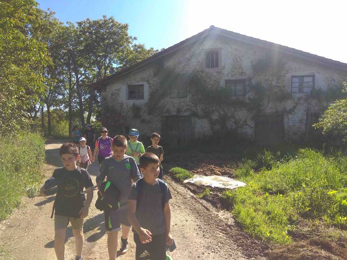 Fleming mendi irteera 22 1559657926564