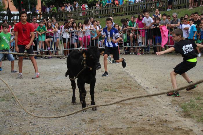 Zezenen aurretik, korrika 17 1469619631611