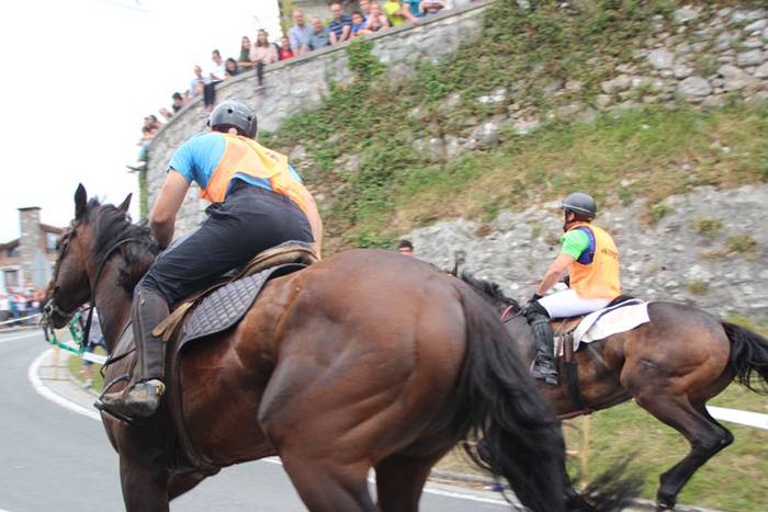 Zaldi gainean lasterka Abalt 19 1498413127071