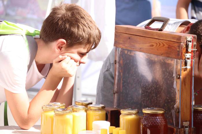 "Ibarra, Azoka eta Piparra" 68 1537103478249