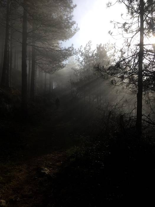 Lartera igotzen goizean goiz