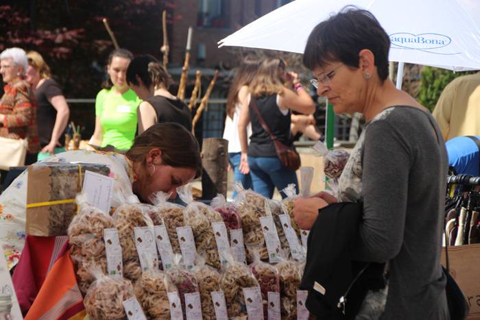 Udaberriko azoka Berrobin 43 1494770639626