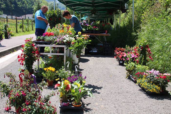 V. Azoka Ekologikoa ospatu d 5 1525614984052