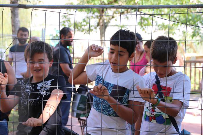 "Ibarra, Azoka eta Piparra" 28 1537102813312