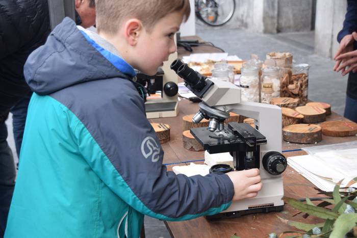 Zuhaitz Azoka, Tolosa, 2017 28 1486819721983