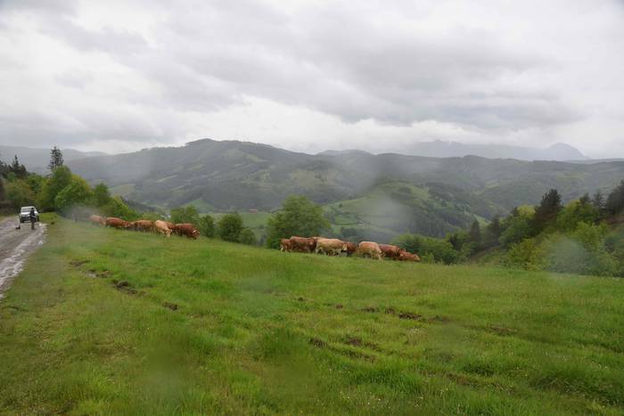 Larre irekiera Berastegi 202 27 1621072185080