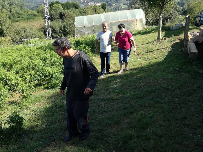 Ibarrako piperrak biltzen ar 12 1538055415034