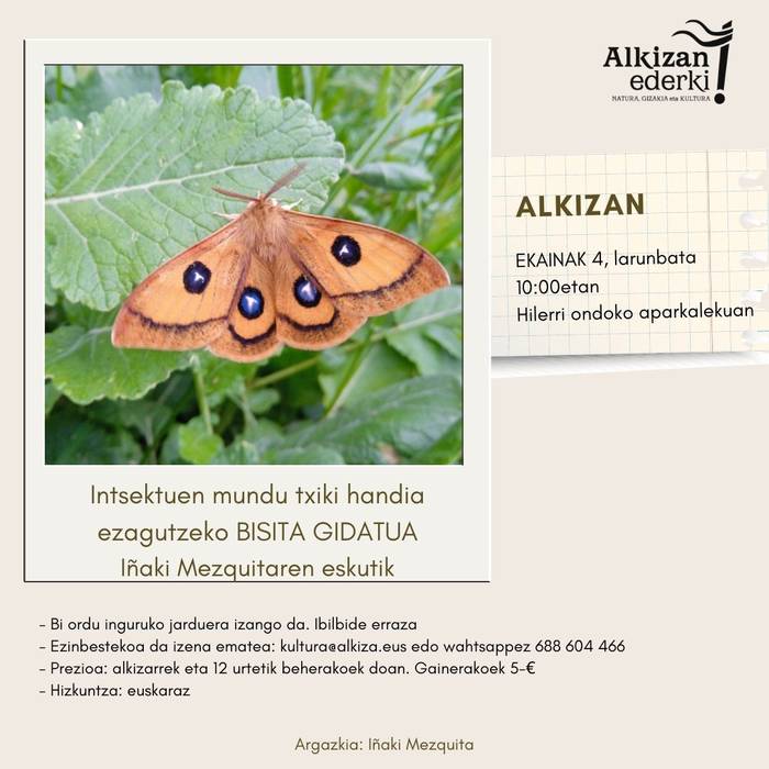 Bisita gidatua