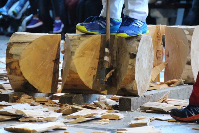 Erakustaldiz betetako arrats 6 1507489856789