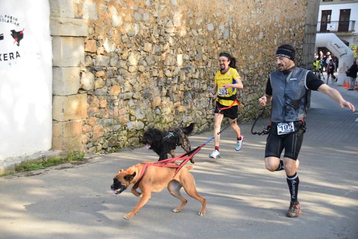 III. Txakur Krosa, Zizurkil 14 1523728674247