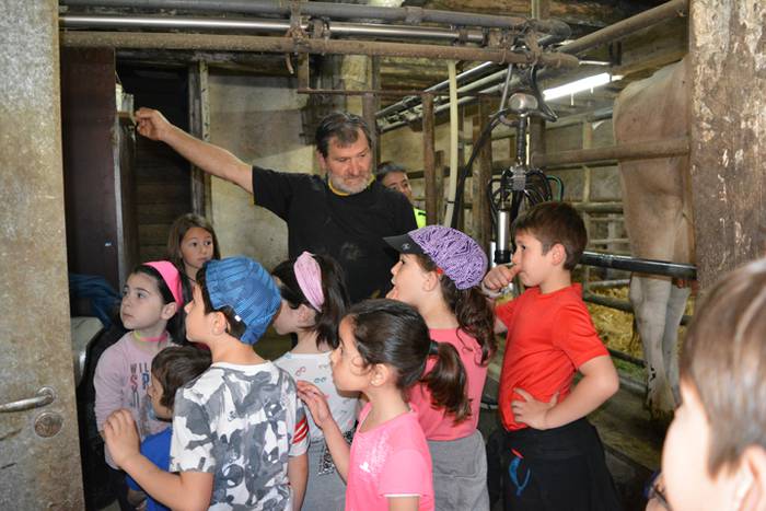 Herriko ekoizle eta kontsumi 1 1525766412749