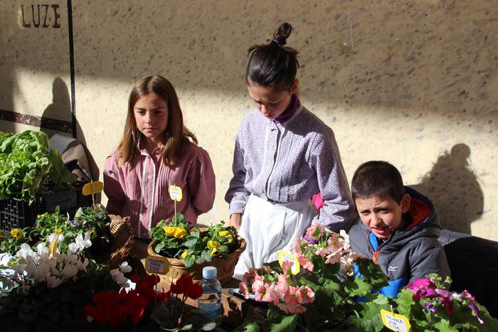 Denetik eta denentzat, Bedai 11 1541343279803