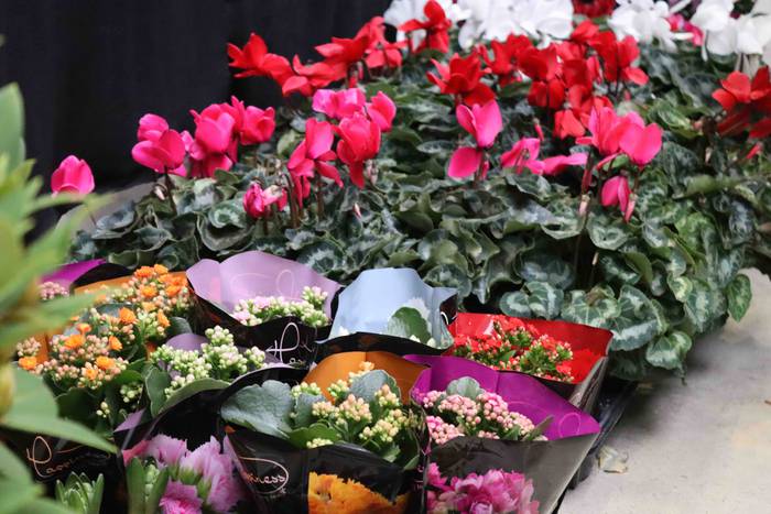 Oholtza gainera igo dira ira 33 1636308521561