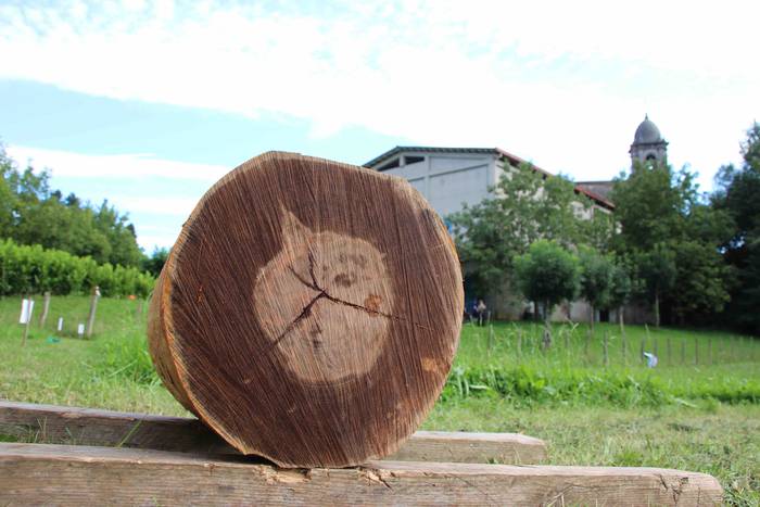 Gazteluko festak 2019 Herri  24 1565894195189