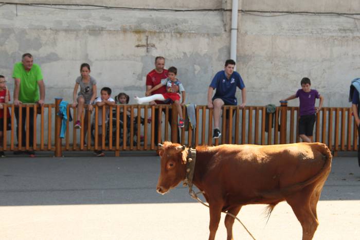 Hernialdeko Jaiak 2017 41 1502714740458