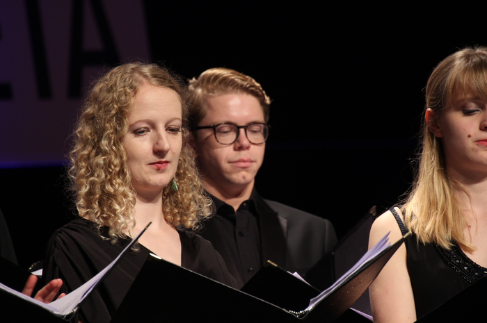 Ahots europarrak, lehiaketak 19 1509654679420