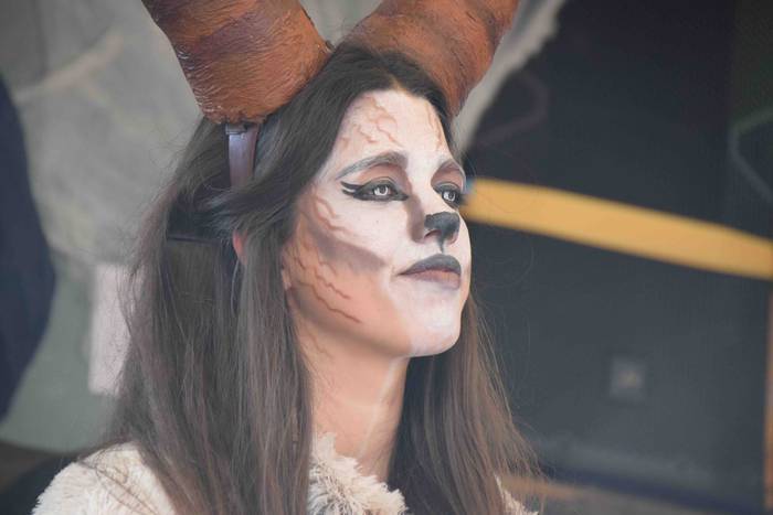 Zaldunita 2019. Karrozak eta 65 1551627119002