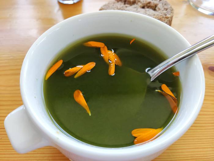 Sendabelar ikastaroa Urkizun 2 1652175192507