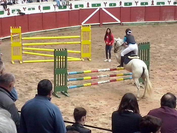 Zaldi erakustaldia Tolosa zezen plaza 5 1466419134074