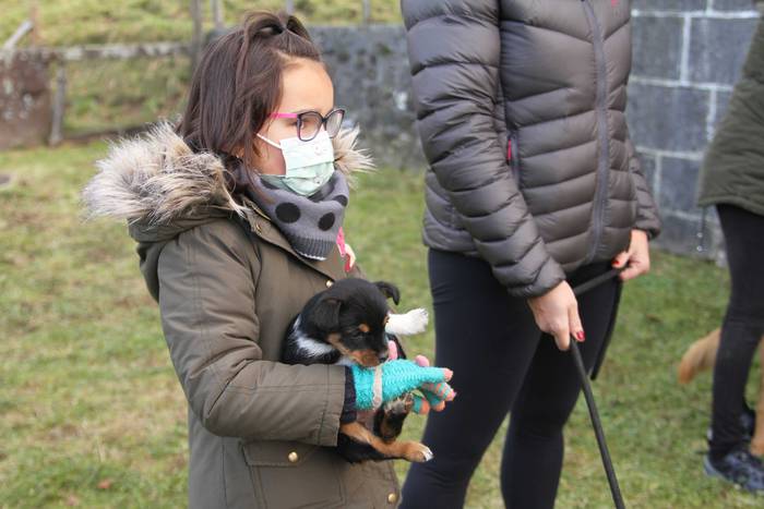 Animaliak bedeinkatu dituzte 4 1642416854883