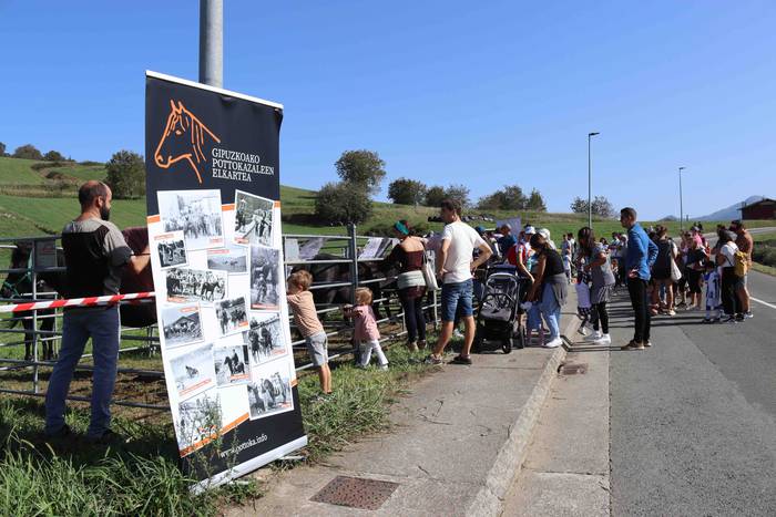 Zizurkilgo herrigunea azoka  40 1665320451309