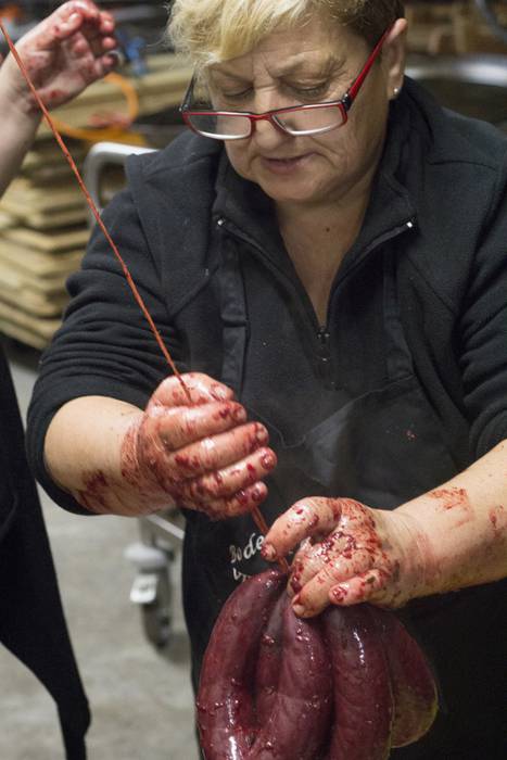 Elikaduratik, kulturatik hai 26 1510577178747