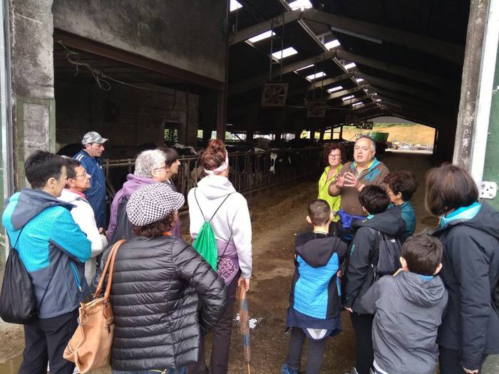 Mintzalagunak Irizibarrera 3 1559058490835