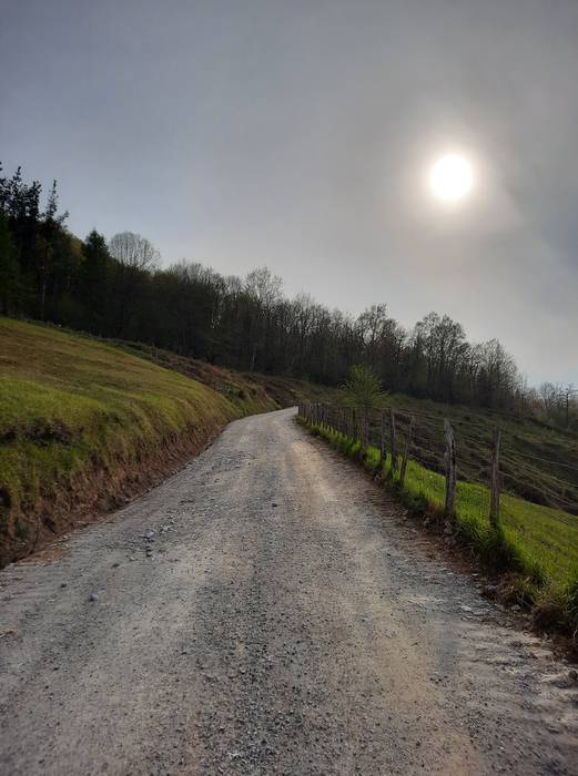 Amezketa errepide konponketa 7 1652802058601